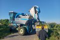 Lesemaschine im Einsatz beim Weingut Gass