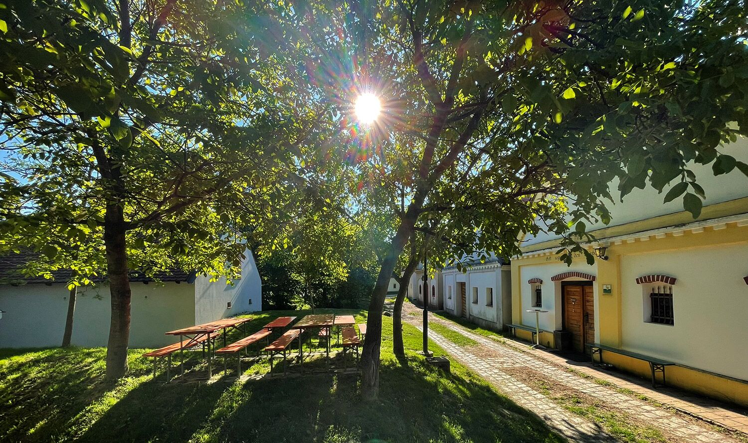 Buschenschank Gass in der Loamgrui - Foto 2025